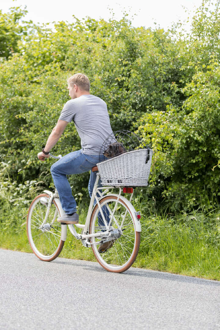 TRIXIE Hunde-Fahrradkorb für Gepäckträger